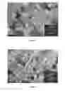 Fig. 03 - Binary or higher order high-density thermodynamically stable nanostructured copper-based tantalum metallic systems, and methods of making the same