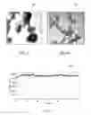 Fig. 04 - METAL NANOPARTICLES AND METHODS FOR THEIR PREPARATION AND USE
