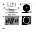 Fig. 04 - PROCESS AND DEVICE FOR PARTICLE SYNTHESIS ON A SUPERAMPHIPHOBIC OR SUPEROLEOPHOBIC SURFACE