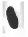 Fig. 04 - Molded article covered with film