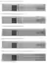 Fig. 02 - Bird protection glazing