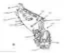 Fig. 01 - Integrated chassis heatsink for electric vehicles