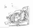 Fig. 48 - Vehicle occupant support
