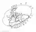Fig. 01 - Airbag and airbag device