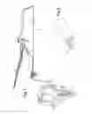 Fig. 02 - Device for dispensing windshield-cleaning liquid for a windshield wiper blade of a motor vehicle