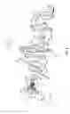 Fig. 06 - Infant stroller apparatus