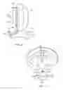 Fig. 02 - Motorcycle/ATV Driver Backrest Passenger Handle Bar