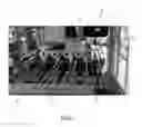 Fig. 02 - Packaging equipment for rolled paper products
