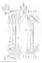 Fig. 08 - ENCAPSULATING SHEET CONTAINER