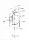 Fig. 07 - Liquid laundry product having a window for viewing