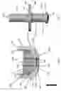 Fig. 06 - COMPRESSIBLE VALVE FOR A PRESSURIZED CONTAINER