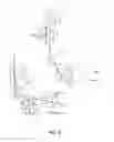 Fig. 07 - Articulated funiculator