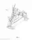 Fig. 06 - Traction winch