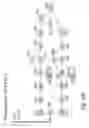 Fig. 19 - System and method for dispensing and sale of bulk products