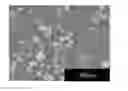 Fig. 01 - Method for producing sintered aluminum nitride granules