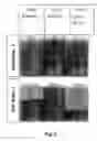 Fig. 03 - CLARIFICATION OF HYDROCARBONS AND SUSPENDED MATTER FROM AN AQUEOUS MEDIUM