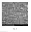 Fig. 02 - Lithium silicate glasses or glass ceramics, method for production thereof and use thereof