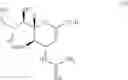 Fig. 28 - Method for manufacturing neuraminic acid derivatives