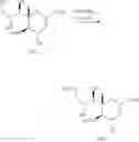 Fig. 64 - Method for manufacturing neuraminic acid derivatives