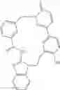 Fig. 47 - Macrocyclic pyridazinone derivatives