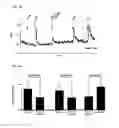 Fig. 35 - Compositions and methods for enhancing odorant receptor activity