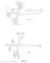 Fig. 29 - Dual PDGF/VEGF antagonists