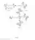 Fig. 32 - Dual PDGF/VEGF antagonists