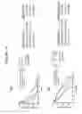 Fig. 23 - Methods of producing antibodies specific for p95
