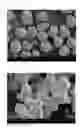 Fig. 09 - Solid polyaluminoxane composition, olefin polymerization catalyst, olefin polymer production method and solid polyaluminoxane composition production method