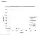 Fig. 02 - Analysis of amino acid copolymer compositions