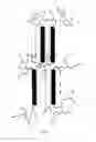 Fig. 02 - Hydrophilic block copolymers and method of preparation thereof (III)