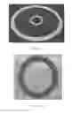 Fig. 02 - Water-based elastomeric composition for impregnating textile material and uses thereof