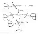 Fig. 01 - Modified fillers for rubber compounding and masterbatches derived therefrom