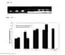 Fig. 07 - Water Curable Resin Formulations