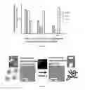 Fig. 06 - Media for stem cells