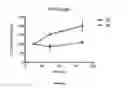 Fig. 07 - Media for stem cells