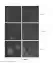 Fig. 08 - Media for stem cells