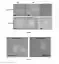 Fig. 16 - Media for stem cells