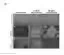 Fig. 08 - Method of introducing a toxin or dye into mammalian pluripotent cells using rBC2LCN