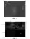 Fig. 06 - METHODS AND COMPOSITIONS FOR PRODUCING INDUCED HEPATOCYTES