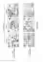 Fig. 23 - ADIPOSE-DERIVED STEM CELLS AND LATTICES