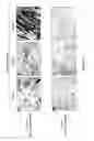 Fig. 24 - ADIPOSE-DERIVED STEM CELLS AND LATTICES