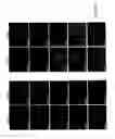Fig. 30 - ADIPOSE-DERIVED STEM CELLS AND LATTICES