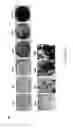 Fig. 34 - ADIPOSE-DERIVED STEM CELLS AND LATTICES