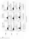 Fig. 60 - ADIPOSE-DERIVED STEM CELLS AND LATTICES