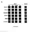 Fig. 82 - ADIPOSE-DERIVED STEM CELLS AND LATTICES