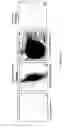 Fig. 97 - ADIPOSE-DERIVED STEM CELLS AND LATTICES