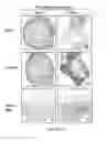 Fig. 98 - ADIPOSE-DERIVED STEM CELLS AND LATTICES