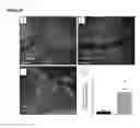 Fig. 32 - Pancreatic insulin-producing beta-cell lines derived from human pluripotent stem cells