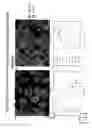 Fig. 06 - Podocyte cultures and uses thereof